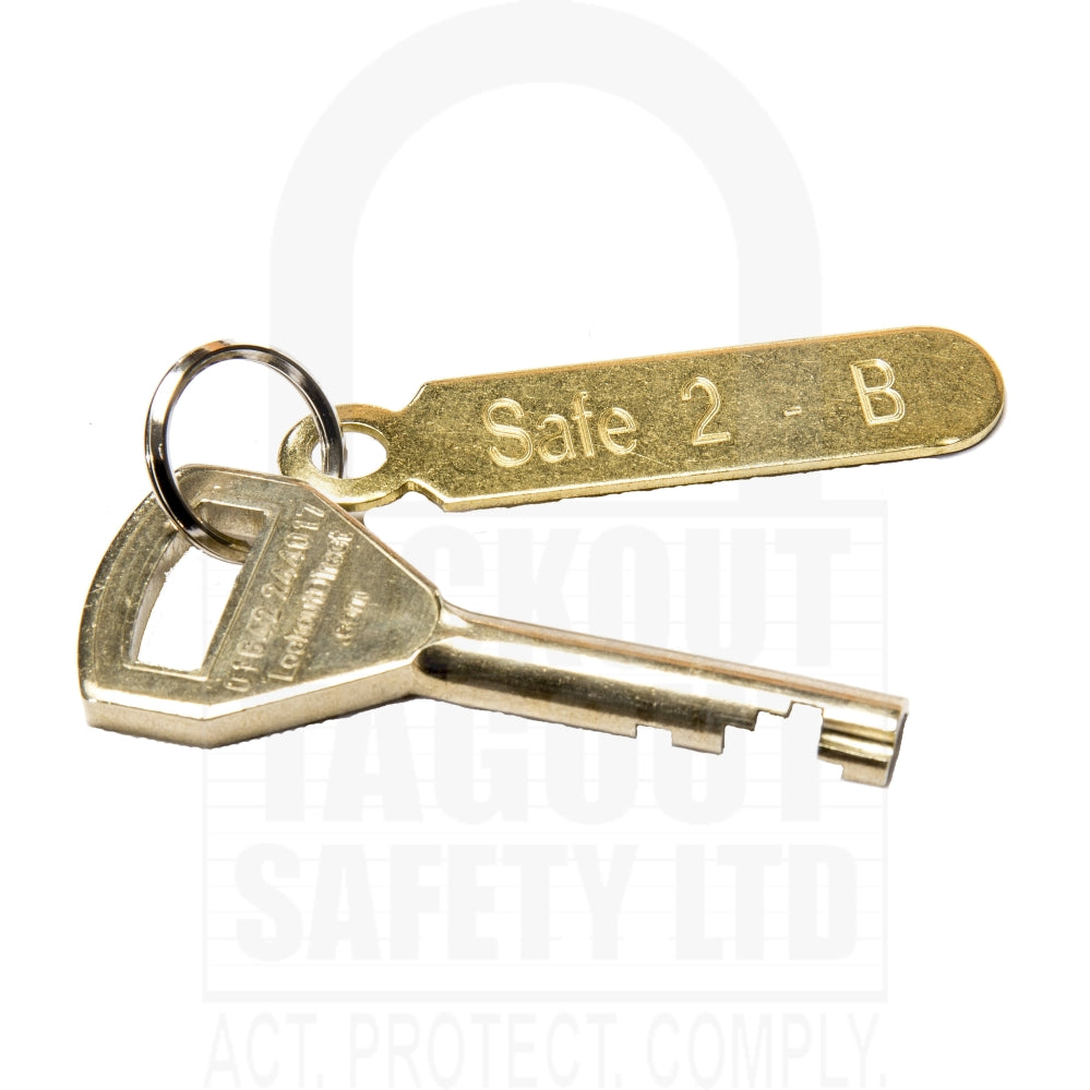 Custom Type 1 Lockout Box  3 Lock